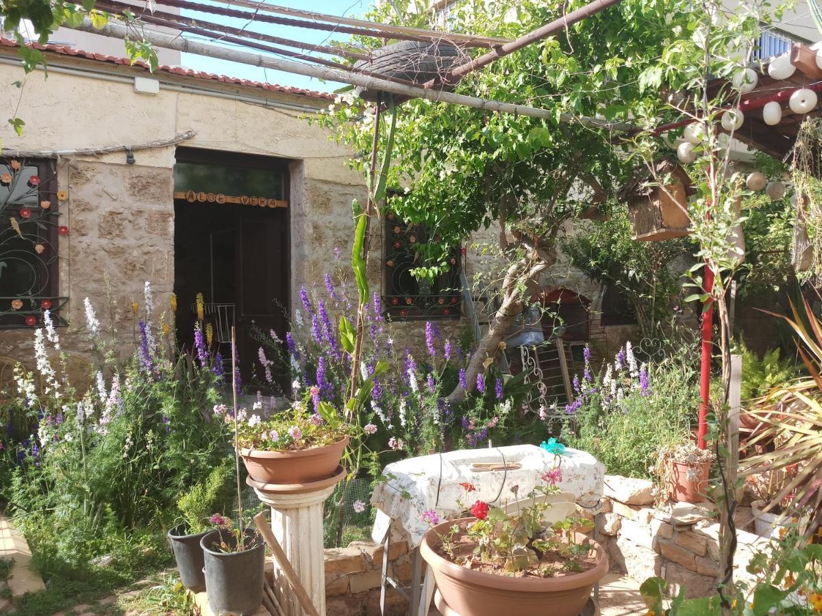 Mystery Garden Guest House Famagusta  Exterior photo