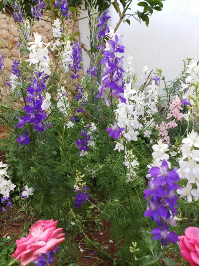 Mystery Garden Guest House Famagusta  Exterior photo