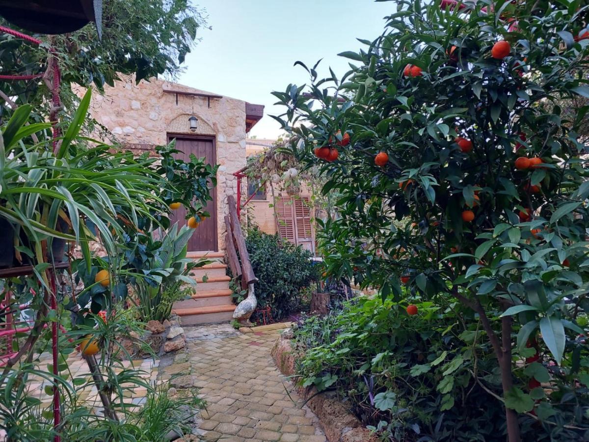 Mystery Garden Guest House Famagusta  Exterior photo