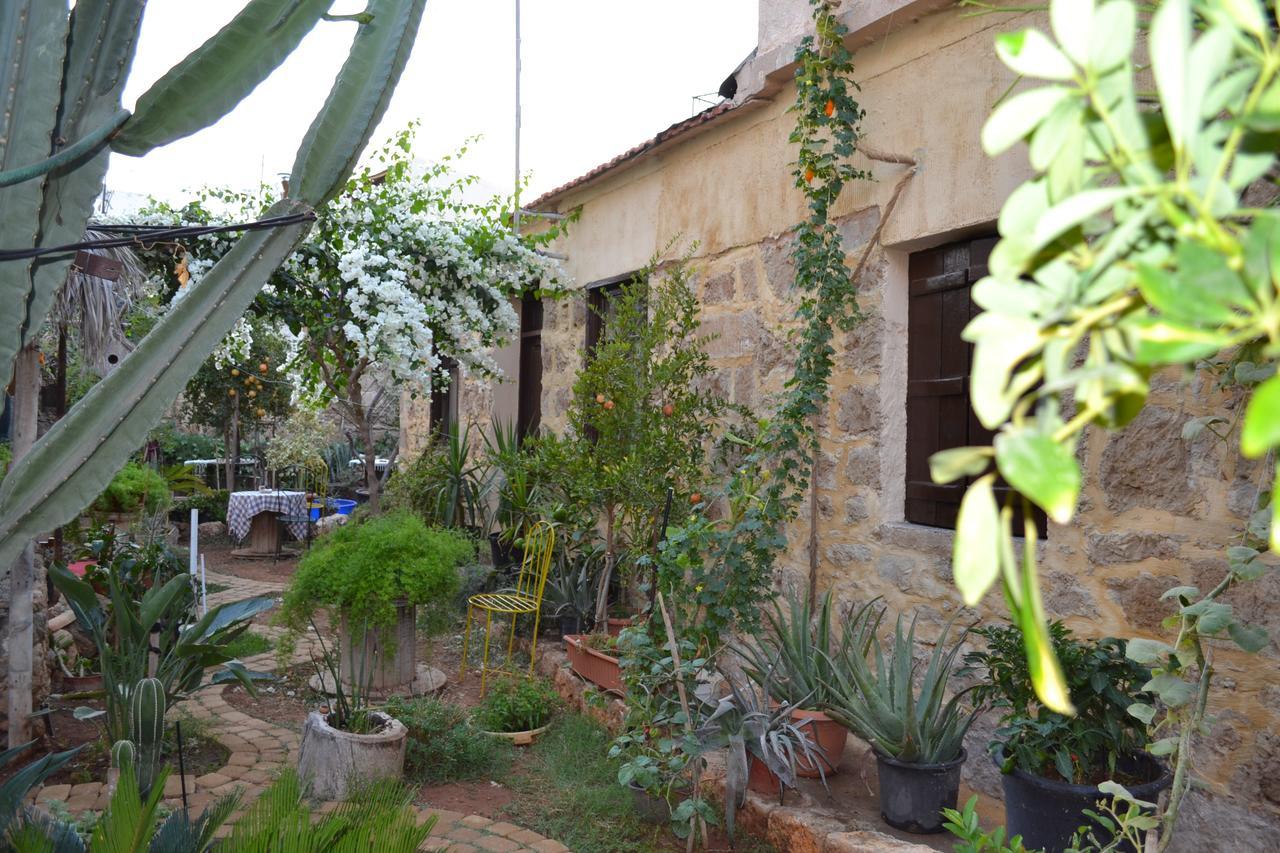 Mystery Garden Guest House Famagusta  Exterior photo