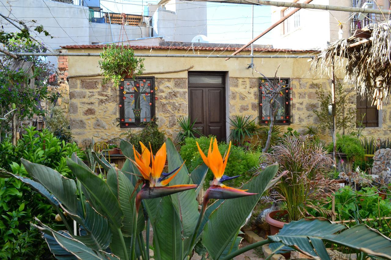 Mystery Garden Guest House Famagusta  Exterior photo