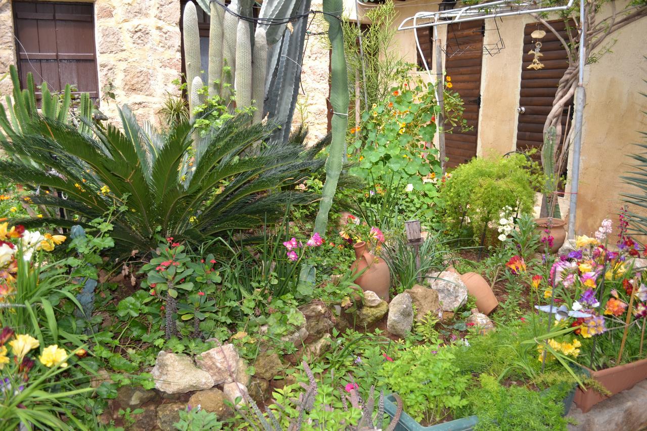 Mystery Garden Guest House Famagusta  Exterior photo